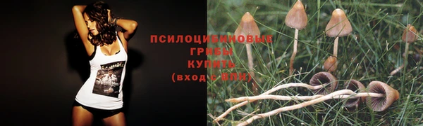 spice Арсеньев