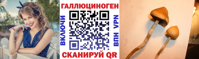 ссылка на мегу вход  Ипатово  Галлюциногенные грибы Magic Shrooms 